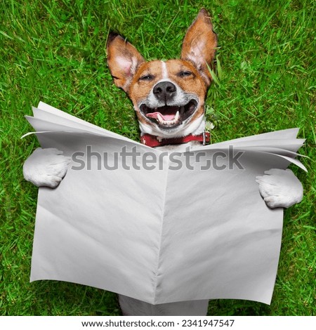 super funny face dog lying on back on green grass reading blank newspaper