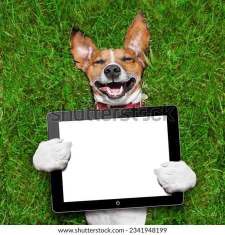 dog holding a blank tablet pc lying on green grass