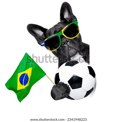 brazil soccer dog with flag and ball beside a white blank white banner or placard