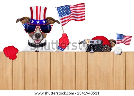 two dogs watching 4th of July parade