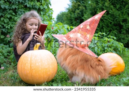 halloween kid, dog. little girl photographer taking picture, portrait of pomeranian in witch costume, hat with pumpkin, jack-o-lantern for scary holiday. Spitz posing, looking at the camera