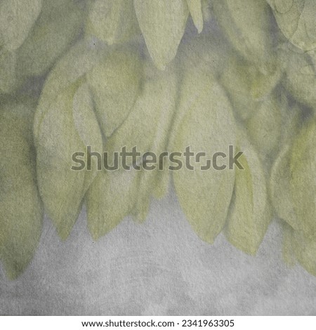 Photos of flowers with a superimposed texture on top. Wallpaper. Square frame. vintage wallpaper background. Unopened buds of white lily