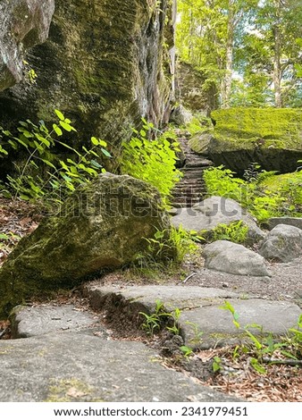 Deep in the woods at Shawnee National Forest surrounded by majestic natural sandstone rock formations. Located along Rim Rock Trail within Pounds Hollow Ecological Reserve in Shawnee National Forest. Royalty-Free Stock Photo #2341979451