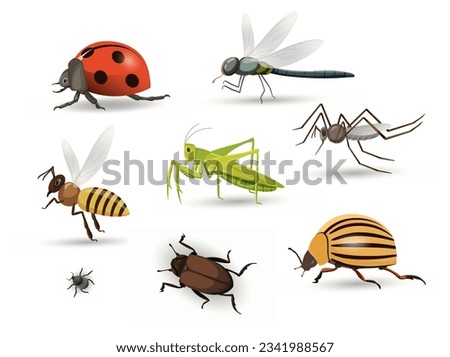 Set of insects concept. Biology and zoology. Bee, grasshopper, ladybug, beetle and dragonfly. Template, layout and mock up. Cartoon flat vector collection isolated on white background Royalty-Free Stock Photo #2341988567