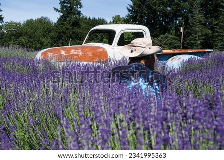 Photographer in the lavender field