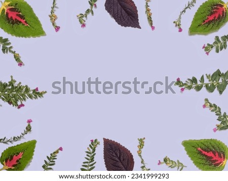 Assorted leaves and flowers border with copy space. Floral frame made of leaves and flowers isolated on lavender background. Green leaves, purple flowers. Floral card design, top view, flat lay.