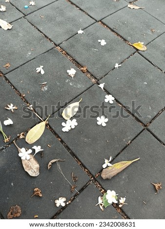 The area has flowers and leaves falling down to look at the beautiful artwork.