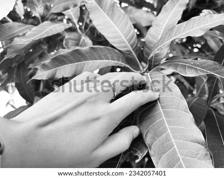 a person's hand on a plant