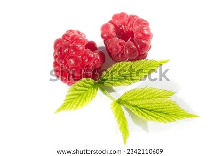Raspberry. In late summer, native raspberries make their way from the fields to your fridge in abundance. This is a great opportunity to take advantage of this delicate fruit and put it to good use