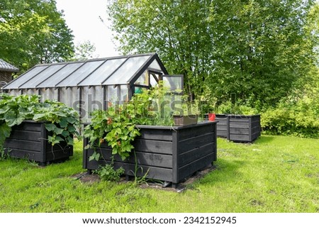 Greenhouse with raised garden beds in backyard on a sunny day. Royalty-Free Stock Photo #2342152945