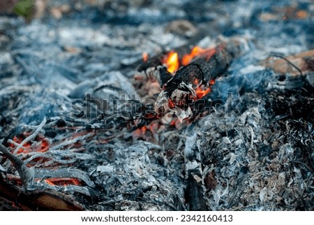 Ashes, charcoal and smoke after the burning of logs on blurred background.