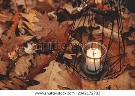 Modern minimalist black lantern with burning candle on background of autumn leaves in forest. Hello Fall! Glowing lantern in moody autumn woods. Copy space. Halloween time