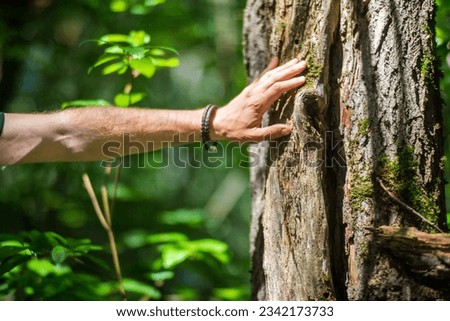 A man's hand touch the tree trunk close-up. Bark wood.Caring for the environment. The ecology concept of saving the world and love nature by human. Royalty-Free Stock Photo #2342173733