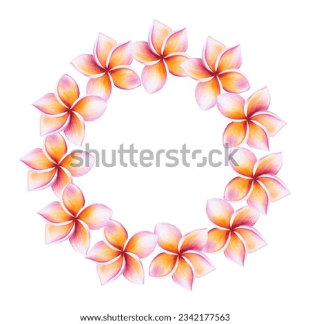 Watercolor frame realistic tropical illustration of plumeria flowers with leaves isolated on white background. Beautiful botanical hand painted frangipani clip art. For designers, spa decoration, post