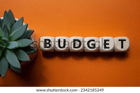 Budget symbol. Concept word Budget on wooden cubes. Beautiful orange background with succulent plant. Business and Budget concept. Copy space.