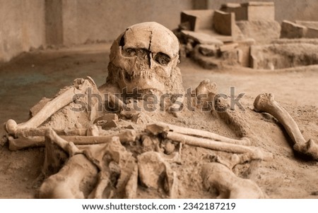 human skeleton and skull found by archeological excavation in Viminacium, Serbia. human skeleton in close-up Royalty-Free Stock Photo #2342187219