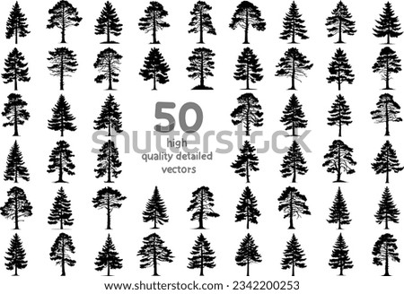 set of monochrome silhouettes of pine trees vector detailed images