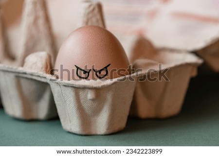 Egg with a face in a cardboard box. Funny brown egg with an upset face in a cardboard tray close-up. The concept of intimidation. An egg with a displeased expression.