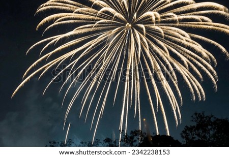 a photography of a fireworks is lit up in the night sky, fireworks in the sky with a dark background and trees in the foreground.