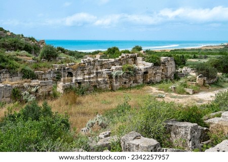 Selinunte Archaeological Park - Sicily - Italy Royalty-Free Stock Photo #2342257957