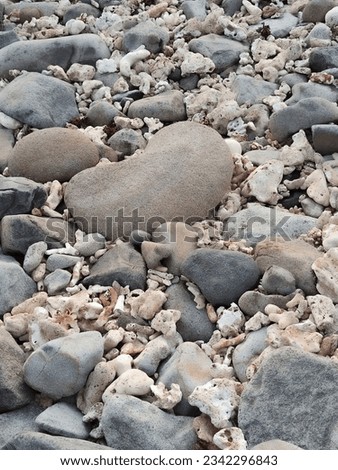 natural beautiful beach rocks and corals seamless background pattern nature real picture 