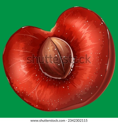 ripe red bright cherry with a stone in a section