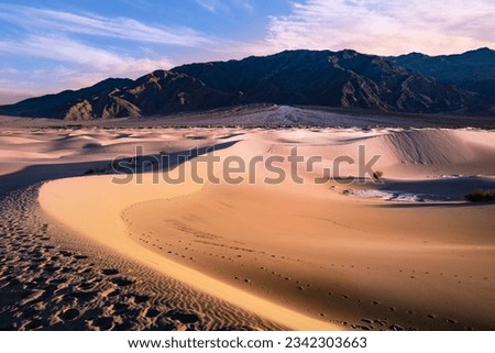 Death Valley desertscape of Mesquite Flat Sand Dunes at Sunrise in Stovepipe Wells, California, USA Royalty-Free Stock Photo #2342303663