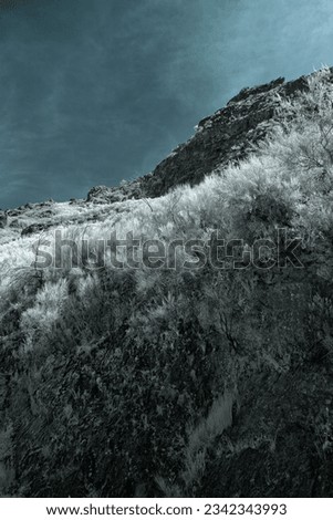 Mountain peak from Peneda Geres National Park, north of Portugal. Used infrared filter.