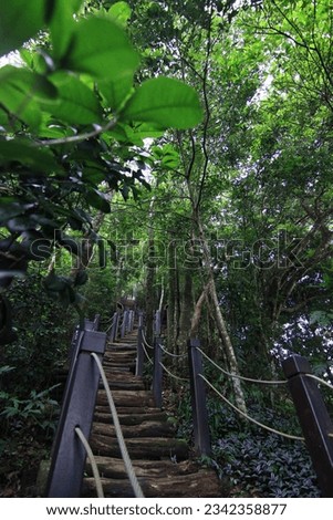 Go to Dakeng Hiking Trails to climb the mountain and take pictures of the wooden plank road