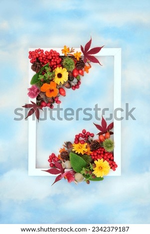 Colorful Autumn Thanksgiving Fall background border with leaves, flowers, berry fruit, nuts, white frame on blue sky. Festive floral nature design for label, greeting card, invitation. 