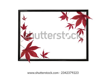 Maple leaves abstract composition on black frame on white background. Minimal Autumn Fall red leaf design for card, label, invitation, menu.