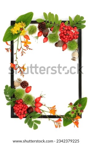 Autumn Samhain harvest festival background black border frame with berry fruit, flowers and nuts on white. Floral fall and Thanksgiving nature concept for label, card, invitation, menu.