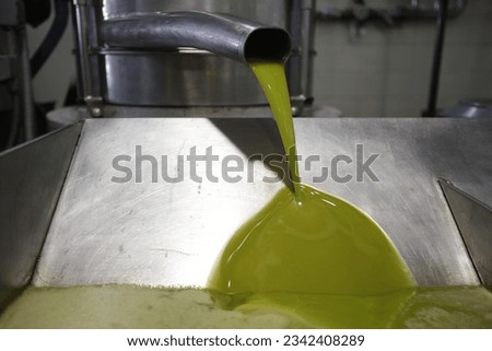 Extra virgin olive oil falls freshly extracted from the olives Royalty-Free Stock Photo #2342408289