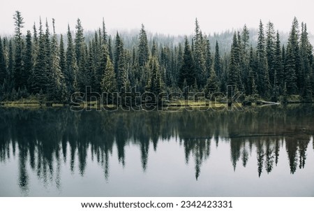 An idyllic landscape of pine trees reflected in a beautiful lake Royalty-Free Stock Photo #2342423331