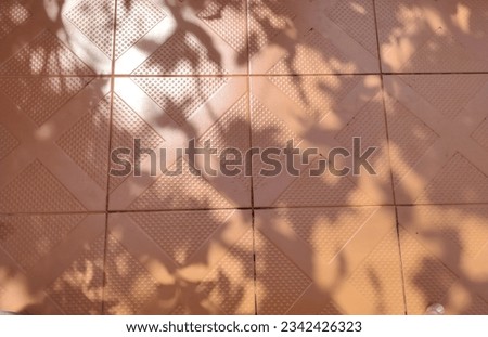 Shadow, light, reflection of the trees and the tiled floor in front of the house It was born into a beautiful picture in another dimension.
