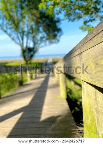 Boardwalk to the beach in the South Carolina Lowcountry with trees, ocean views and beautiful skylines.