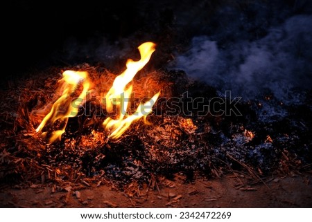 wildfire, rural fire, burning conflagration, burning ash, setting, charred dry grass in forest, acrid gray smoke, uncontrolled fire in area combustible vegetation, harming nature, spontaneous spread Royalty-Free Stock Photo #2342472269