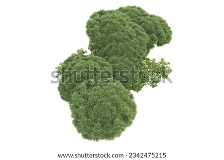 Tropical forest isolated on white background. 3d rendering - illustration