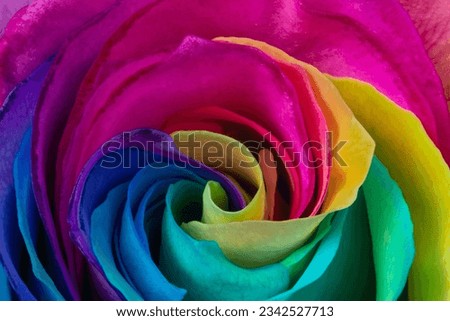 Extreme closeup of beautiful, vibrant rainbow rose
