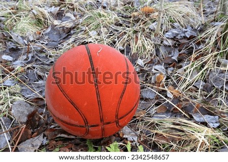 One basketball outside in nature.