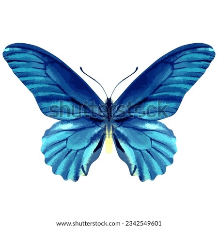 Vector watercolor illustration of realistic butterfly. Colorful image of tropical insect.