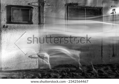 This picture makes me feels like there is a ghost, but when you look a little closer you realize its a horse that is running