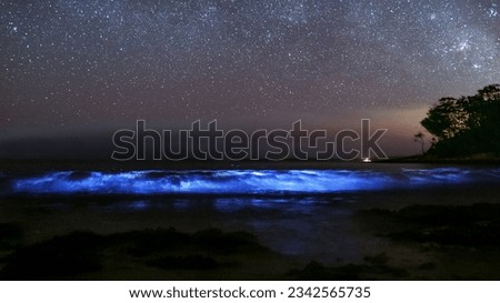 A mesmerizing view of a starry night sky over a beautiful tranquil beach