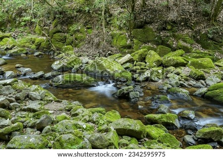 Scenery of cool waterfall surrounded by mossy rocks at Akame 48 Waterfalls