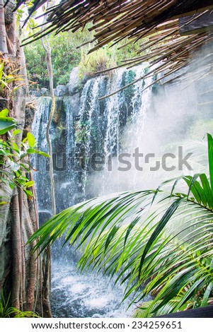 Beautiful view of waterfall in jungle.