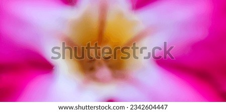 Blurred adenium obesum pink flower carpel for background, close-up flower petals pink beautiful. 