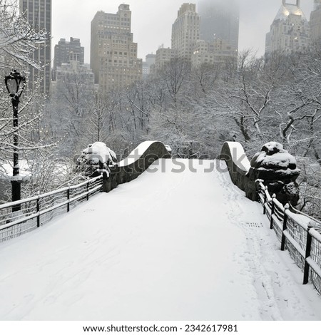 A lively winter view of Central Park in New York City covered in snow.