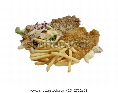a photography of a plate of food with french fries and meat, there is a plate of food with french fries and a sandwich.