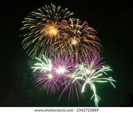 a photography of a fireworks display with multiple colors and a black sky, fireworks are lit up in the dark sky with a dark background.