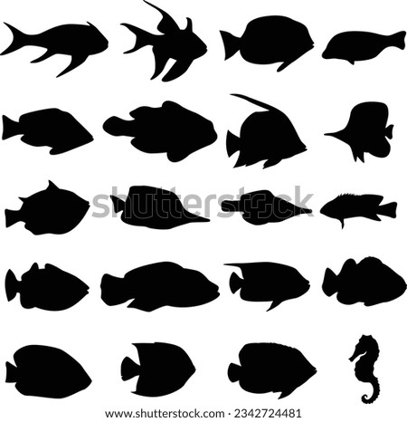Fish vector silhouettes collection. Tropical fishes vector illustration